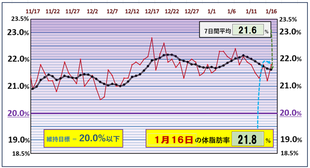 体脂肪率20％以下を目標にしたグラフ『1月16日』