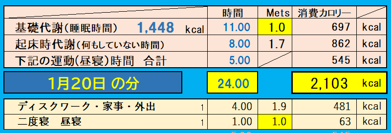 消費カロリーの合計値の画像『1月20日』