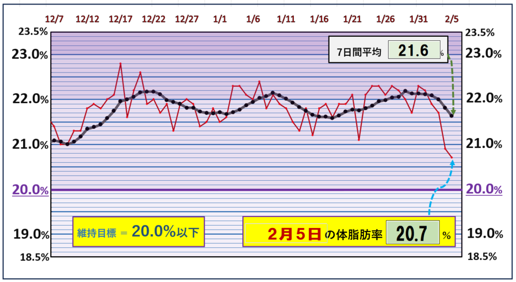 体脂肪率20％以下を目標にしたグラフ『2月5日』