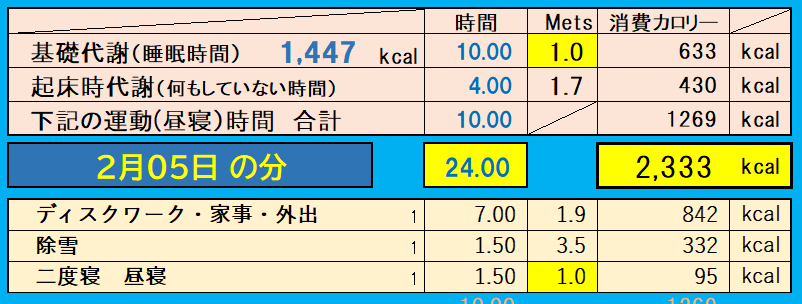 消費カロリーの合計値の画像『2月5日』