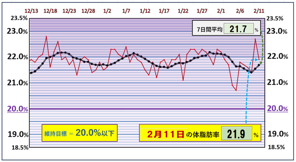 体脂肪率20％以下を目標にしたグラフ『2月11日』