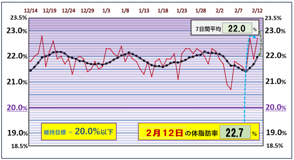 体脂肪率20％以下を目標にしたグラフ『2月12日』