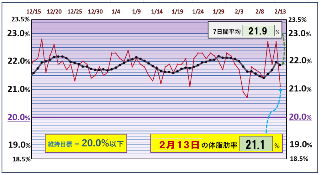 体脂肪率20％以下を目標にしたグラフ『2月13日』