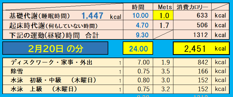 消費カロリーの合計値の画像『2月20日』