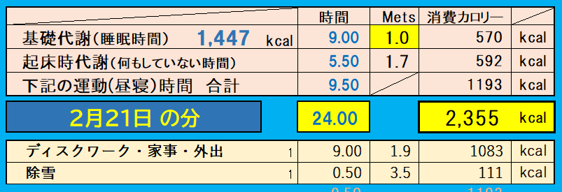 消費カロリーの合計値の画像『2月21日』