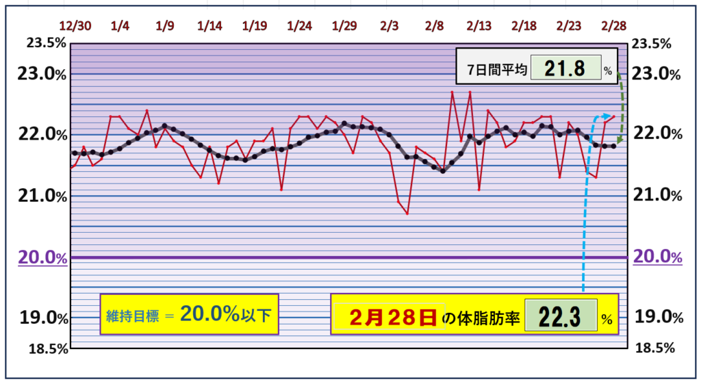 体脂肪率20％以下を目標にしたグラフ『2月28日』