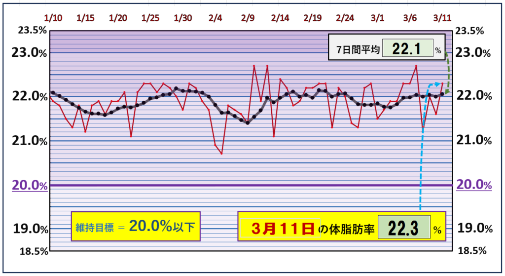 体脂肪率20％以下を目標にしたグラフ『3月11日』