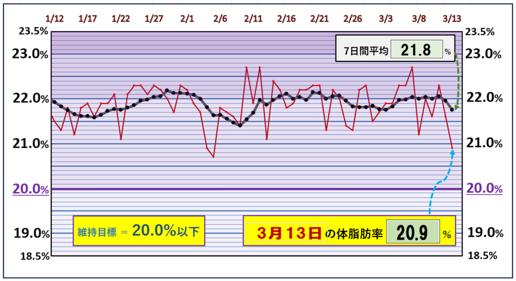 体脂肪率20％以下を目標にしたグラフ『3月13日』