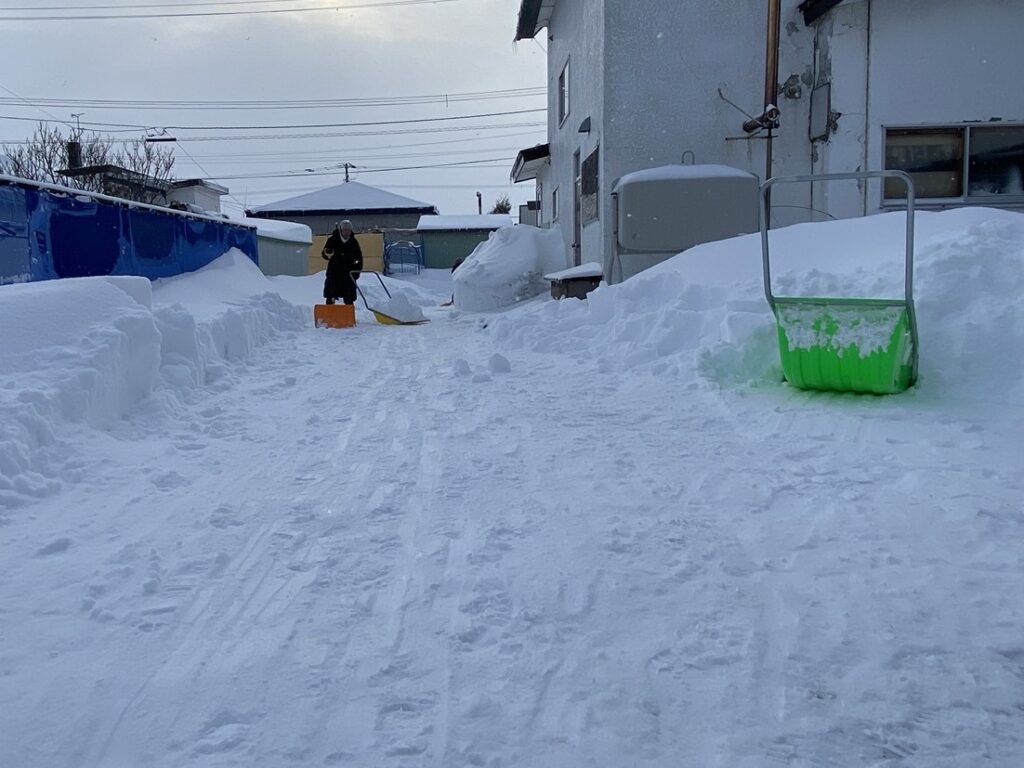 朝の除雪風景