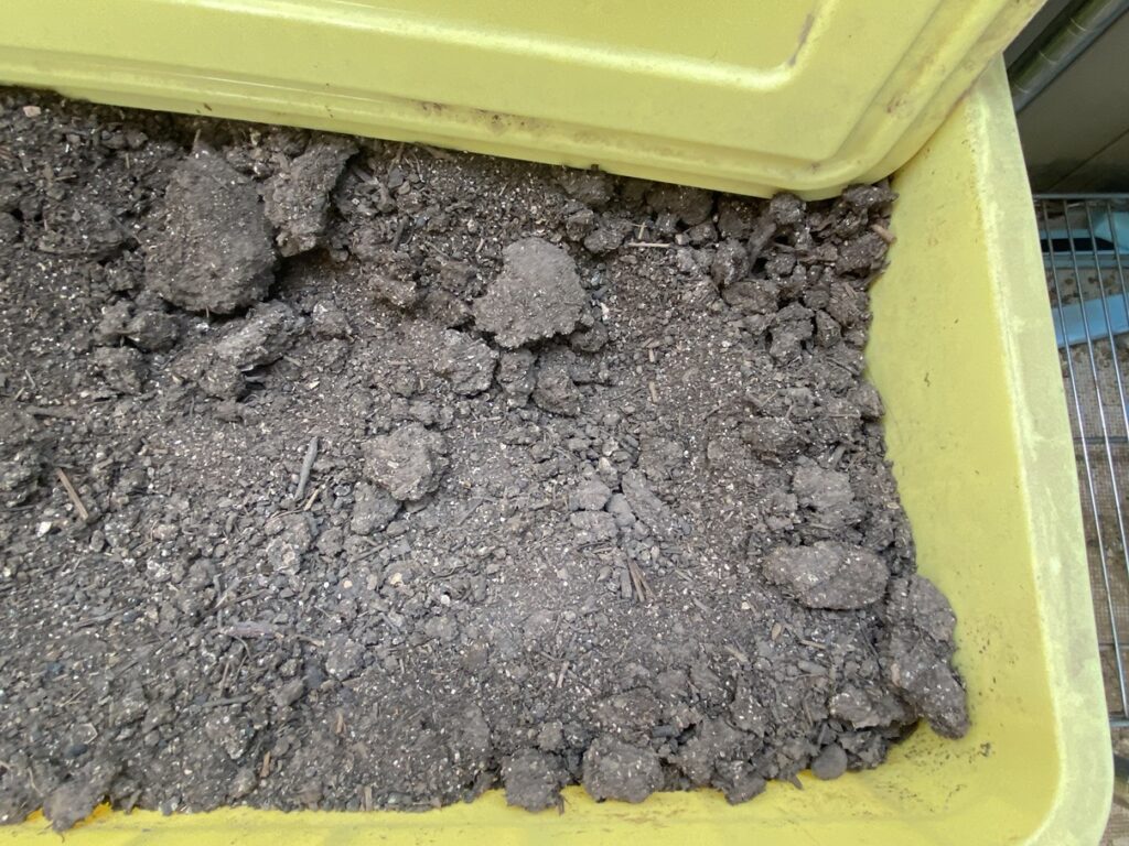 完全に土になった腐葉土