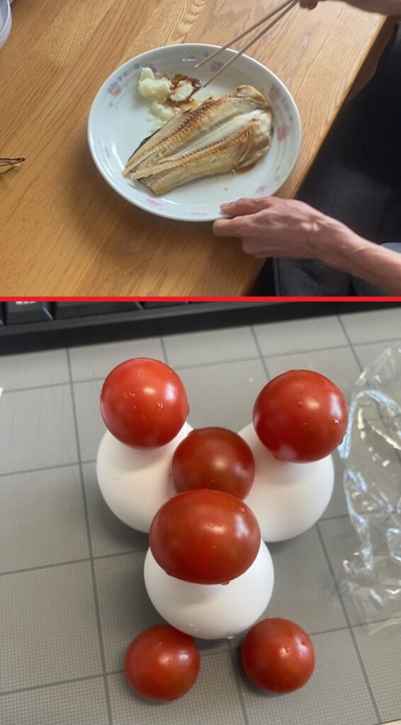 4月23日の食事