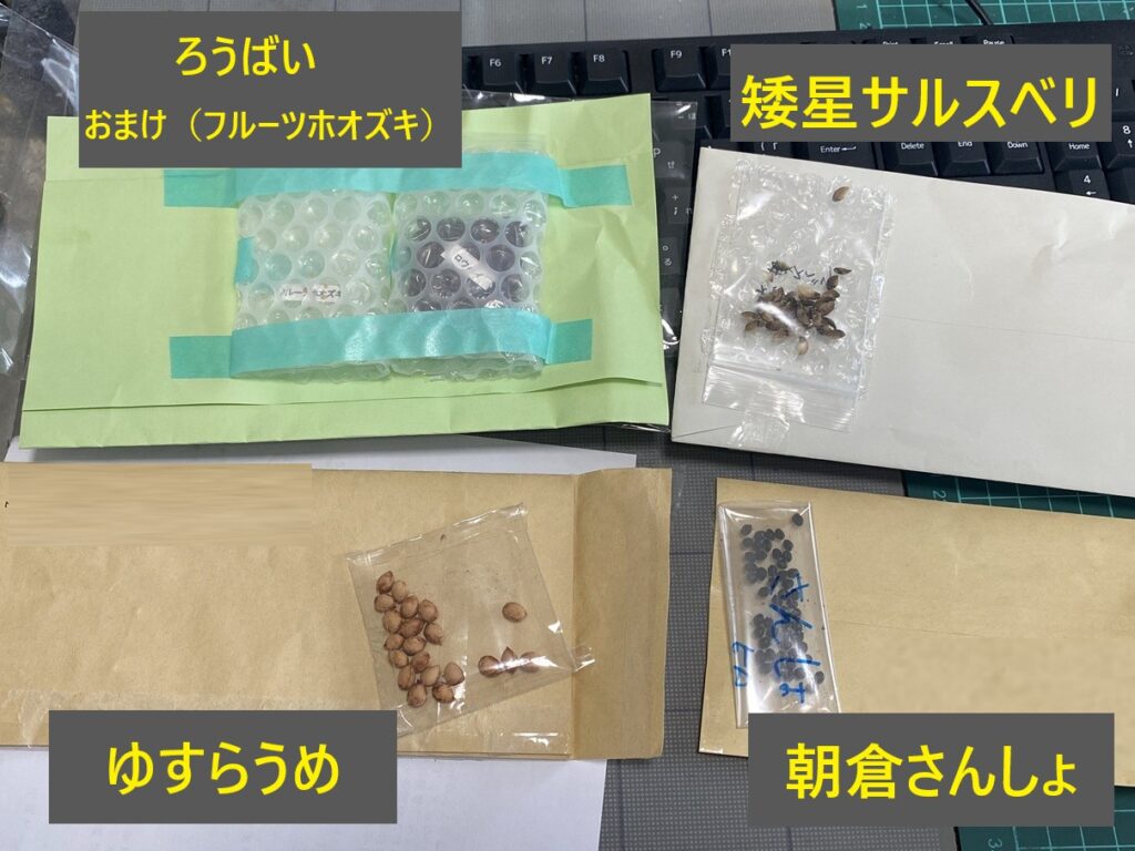 盆栽の種