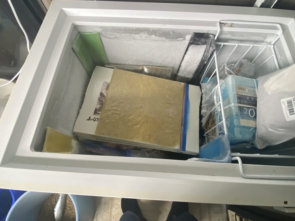 完成したおろし生姜を冷凍