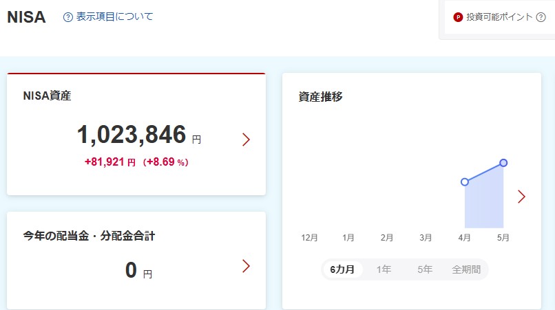 NISA資産損益