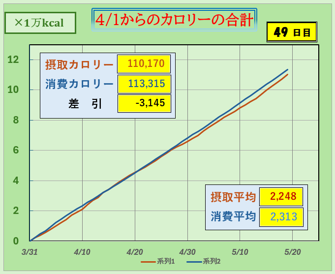 摂取カロリーと消費カロリーの合計グラフ
