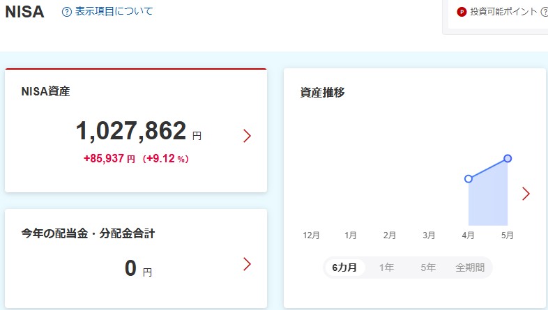 NISA資産損益