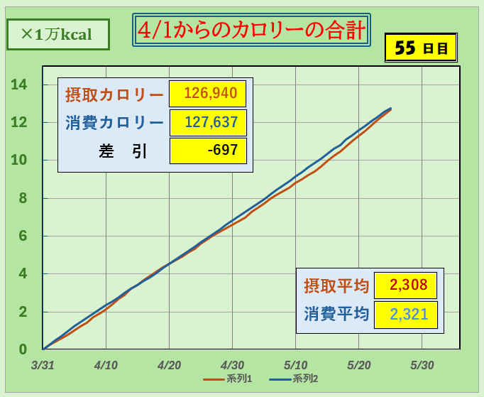 摂取カロリーと消費カロリーの合計グラフ