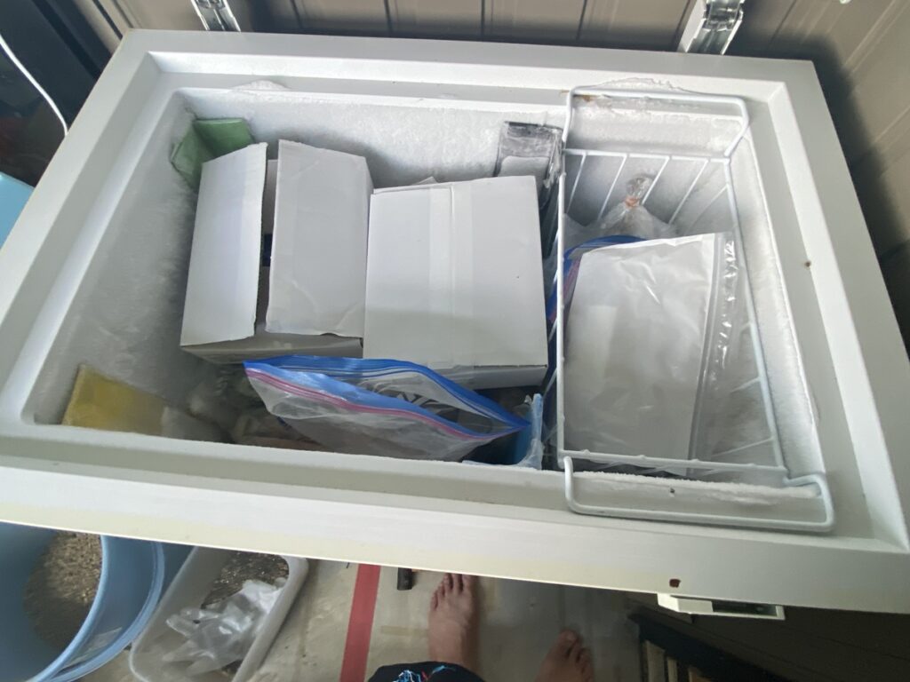 釜揚げしらす