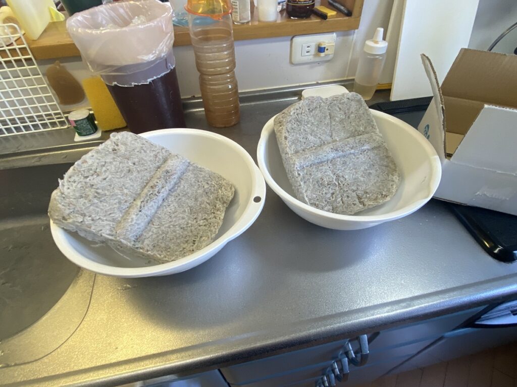 釜揚げしらす