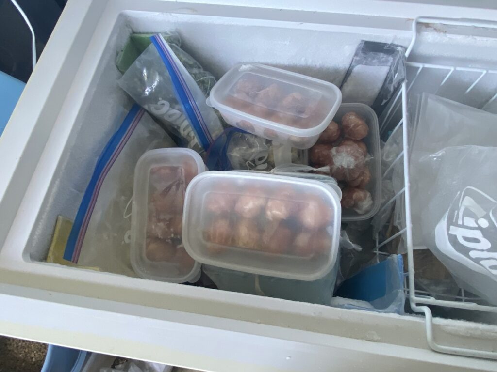 冷凍した鶏もも肉