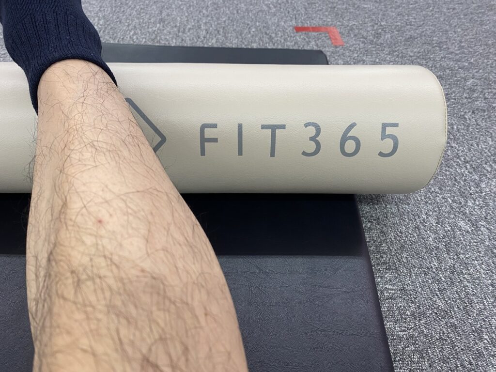 FIT365