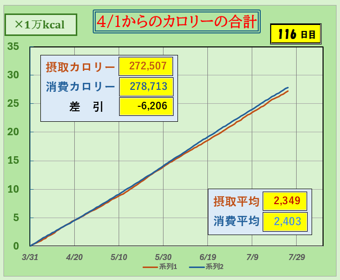摂取カロリーと消費カロリーの合計グラフ