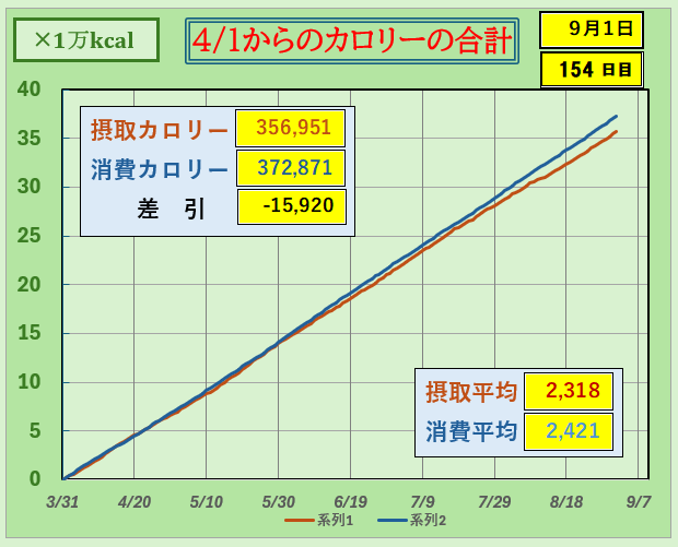摂取カロリーと消費カロリーの合計グラ