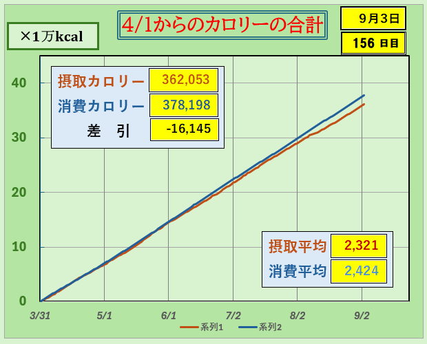 摂取カロリーと消費カロリーの合計グラ