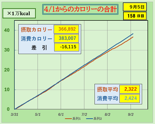 摂取カロリーと消費カロリーの合計グラ