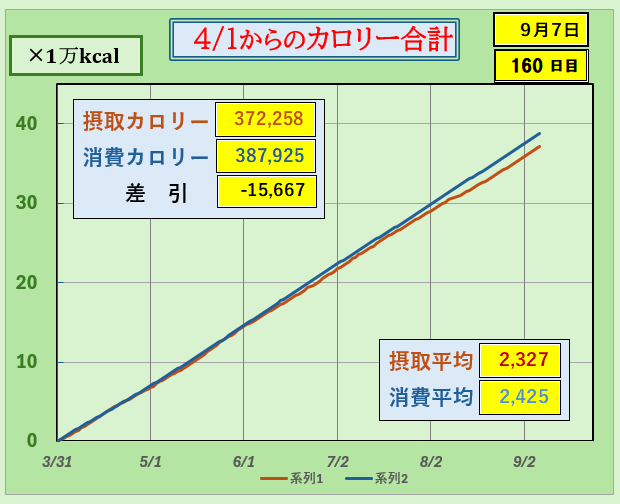 摂取カロリーと消費カロリーの合計グラ