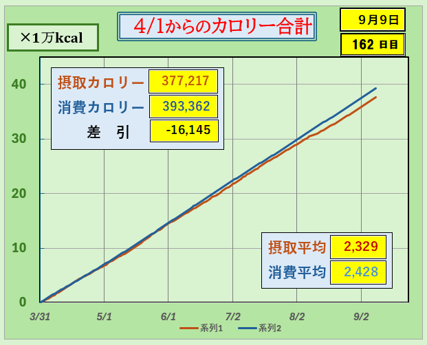 摂取カロリーと消費カロリーの合計グラ