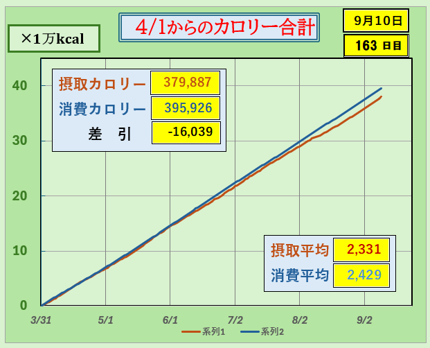 摂取カロリーと消費カロリーの合計グラ