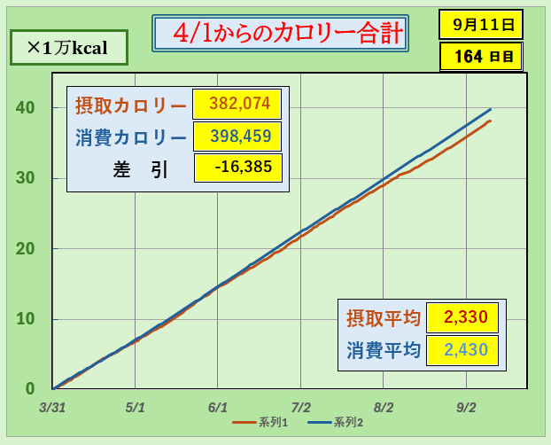 摂取カロリーと消費カロリーの合計グラ