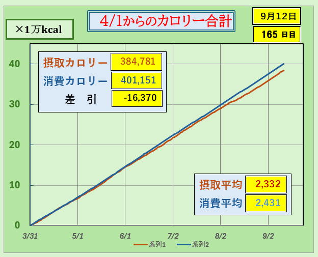 摂取カロリーと消費カロリーの合計グラ