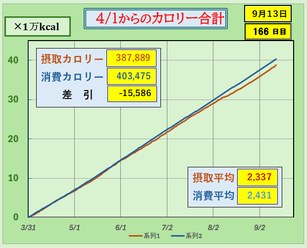 摂取カロリーと消費カロリーの合計グラ