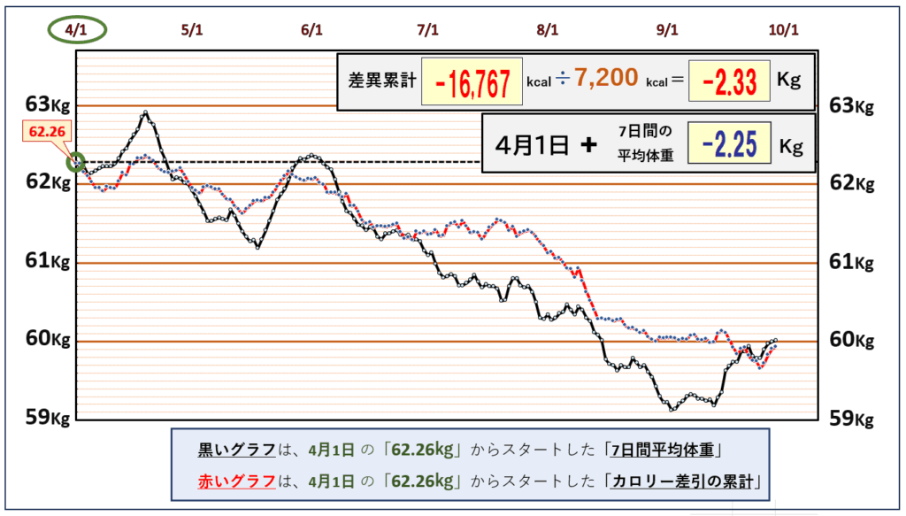 「摂取カロリーと消費カロリーの累積比較グラフ｜1日の平均カロリー収支を記録し、摂取と消費の差を可視化したデータ」