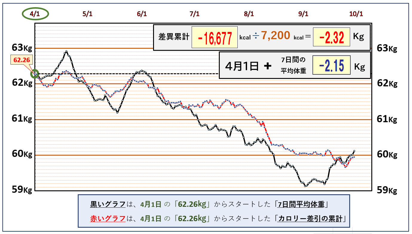 「摂取カロリーと消費カロリーの累積比較グラフ｜1日の平均カロリー収支を記録し、摂取と消費の差を可視化したデータ」