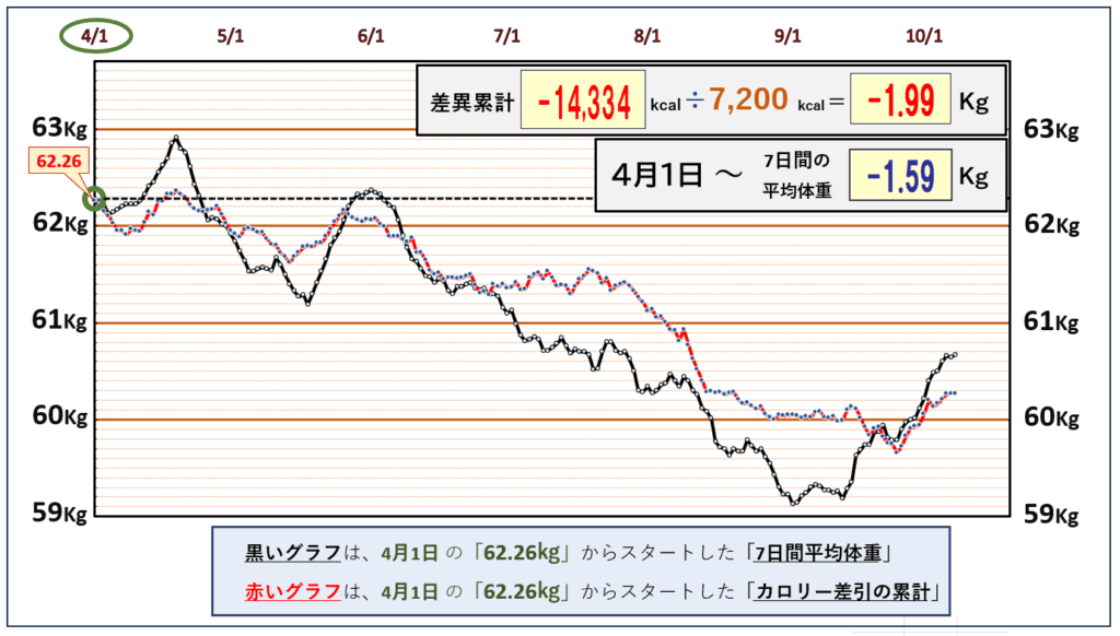 「摂取カロリーと消費カロリーの累積比較グラフ｜1日の平均カロリー収支を記録し、摂取と消費の差を可視化したデータ」