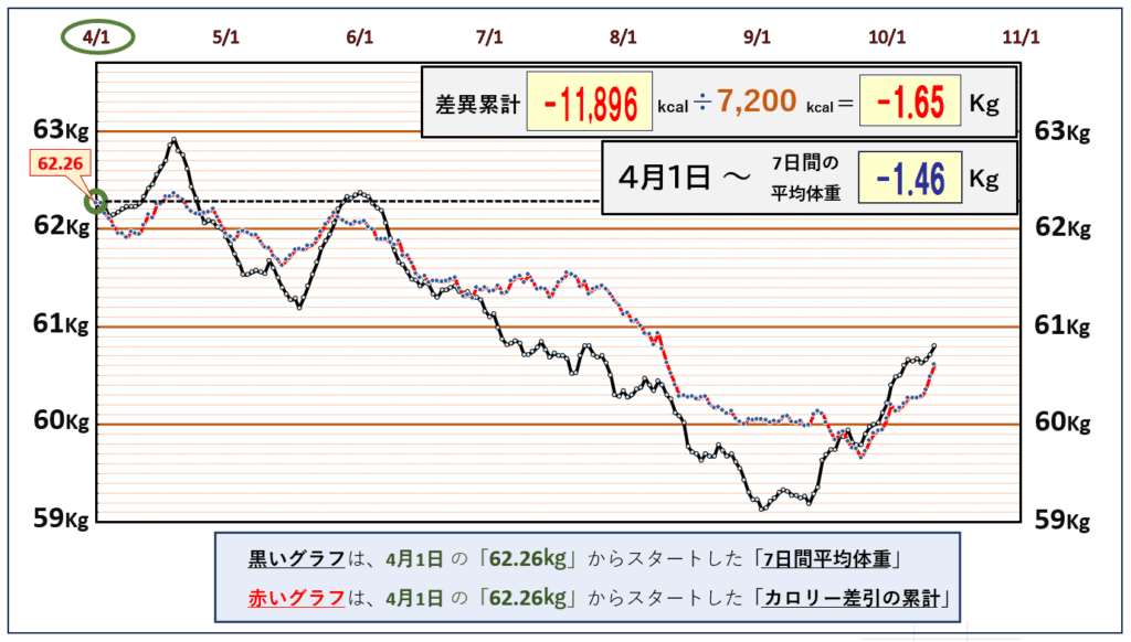 「摂取カロリーと消費カロリーの累積比較グラフ｜1日の平均カロリー収支を記録し、摂取と消費の差を可視化したデータ」