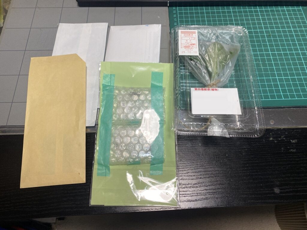 メルカリで購入した品の一式。左に種子4種類が入った封筒・プチプチ封筒、右に宛名ラベル付きの透明トレイに入った金のなる木の苗。