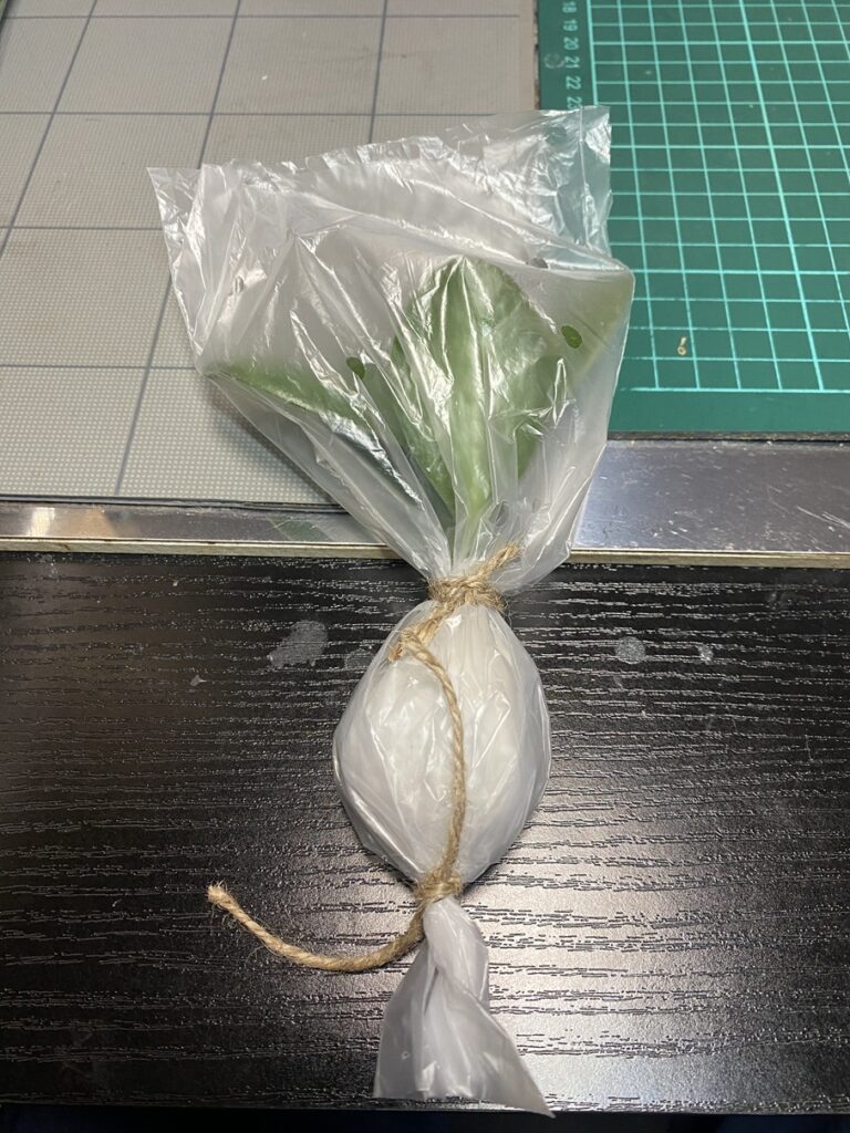 送料対策の梱包例。金のなる木の苗を湿ったティッシュごと小袋に入れ、さらにビニールで包んで麻ひもで両端を結んだ“キャンディ包み”