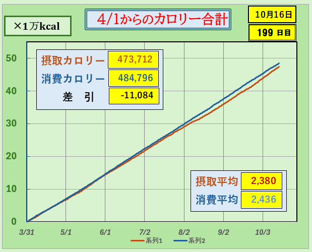 「2025年4月1日から10月16日までの摂取カロリーと消費カロリーの累積推移グラフ。摂取47万kcal、消費48万kcalで差引マイナス11,084kcal。平均摂取2,380kcal・平均消費2,436kcal。」
