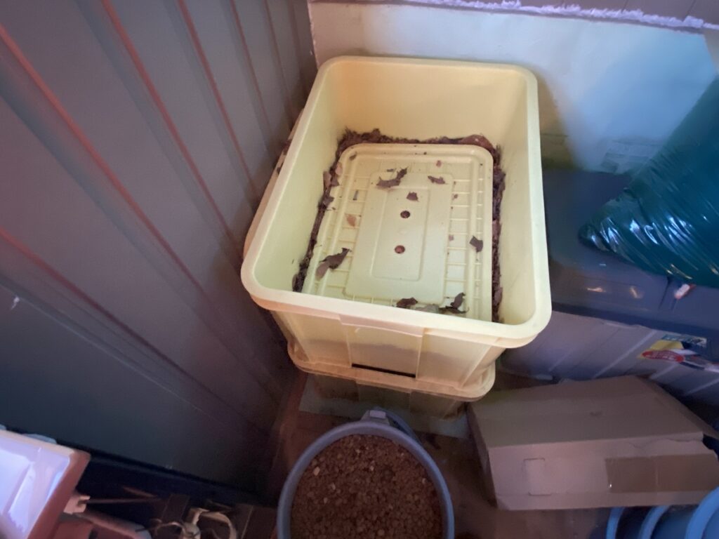 ふたを軽く閉じて通気を確保した落ち葉ボックス。乾燥しすぎず湿気を逃がす、自然発酵を促す工夫が見える。