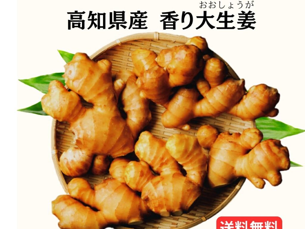 楽天市場大生姜