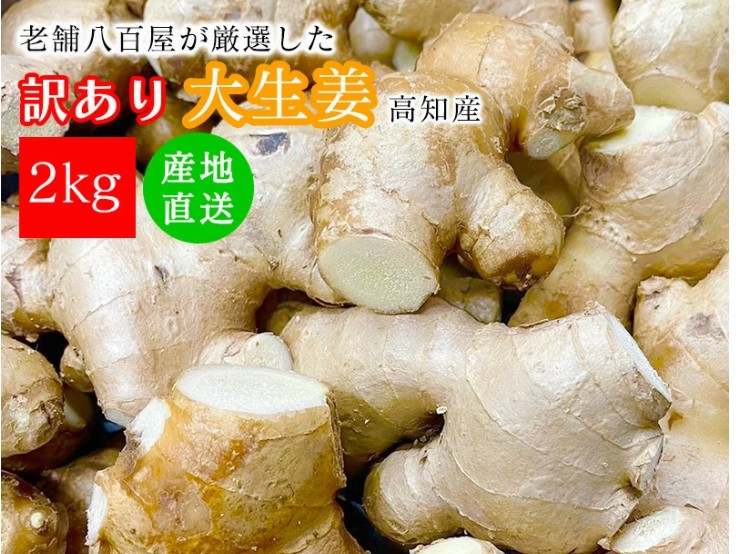 生生姜