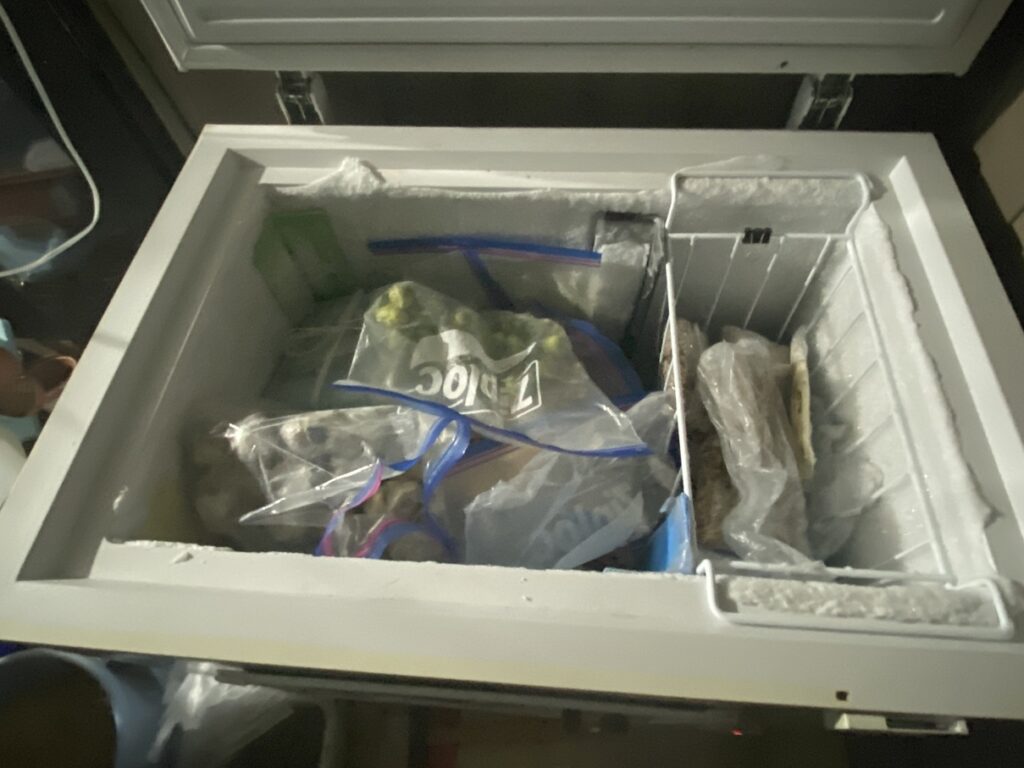 現在の冷凍庫の中身を上から撮影。ブルーベリーや野菜などの冷凍食品が袋詰めで詰め込まれ、庫内はほとんど満杯。整理整頓の限界に近い状態。