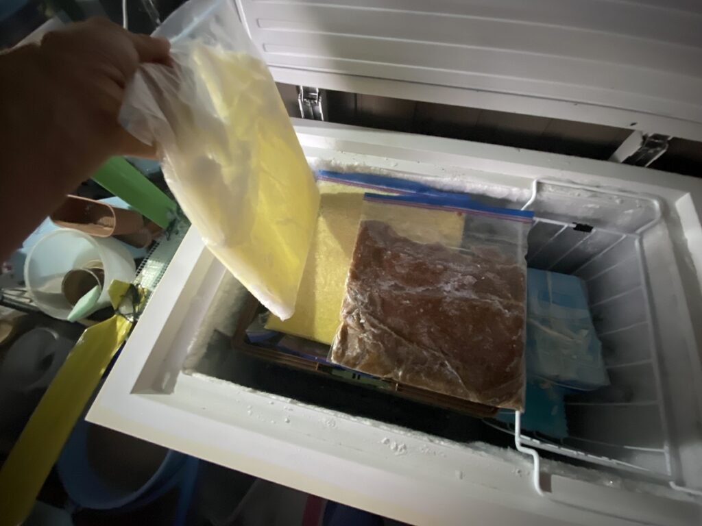 冷凍庫内のコンテナと側面の隙間に、大根おろしやおろし生姜を入れたジッパーバッグを収納。手前には凍った大根おろし、奥には茶色のおろし生姜パックが並び、スペースを無駄なく活用している様子。