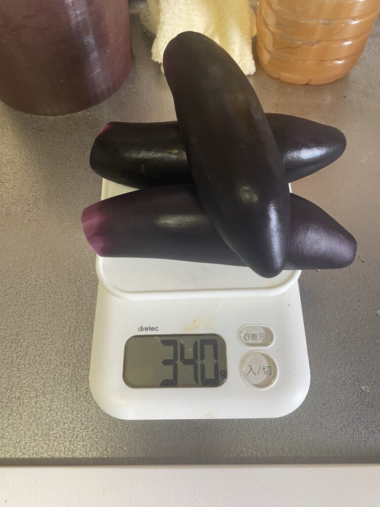 ナス