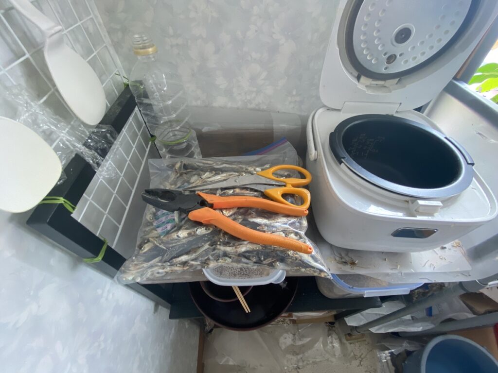 ペンチと煮干し