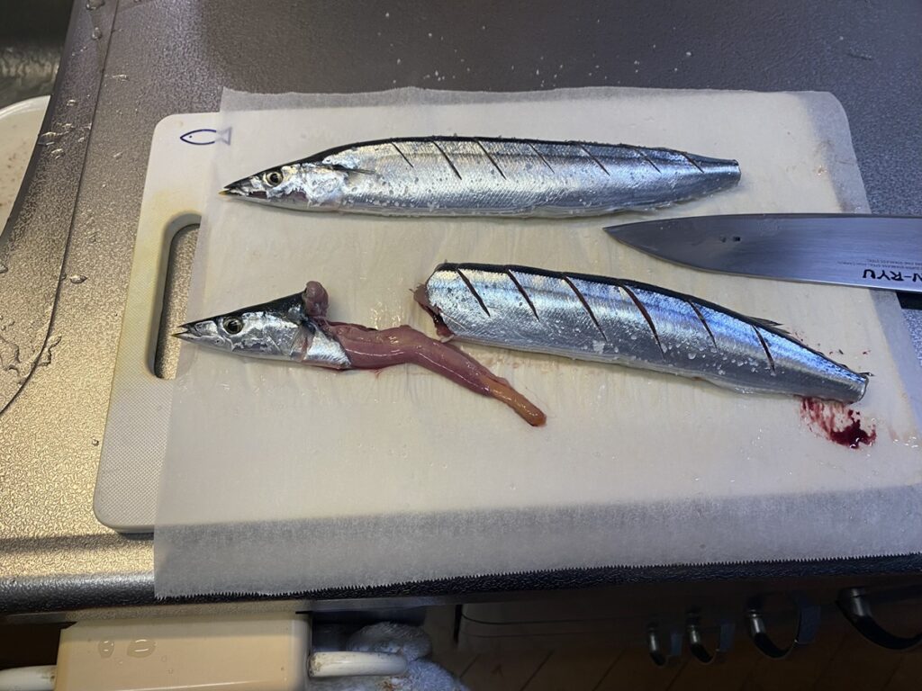 サンマのはらわた